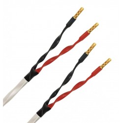 Wireworld Solstice 8 cable...